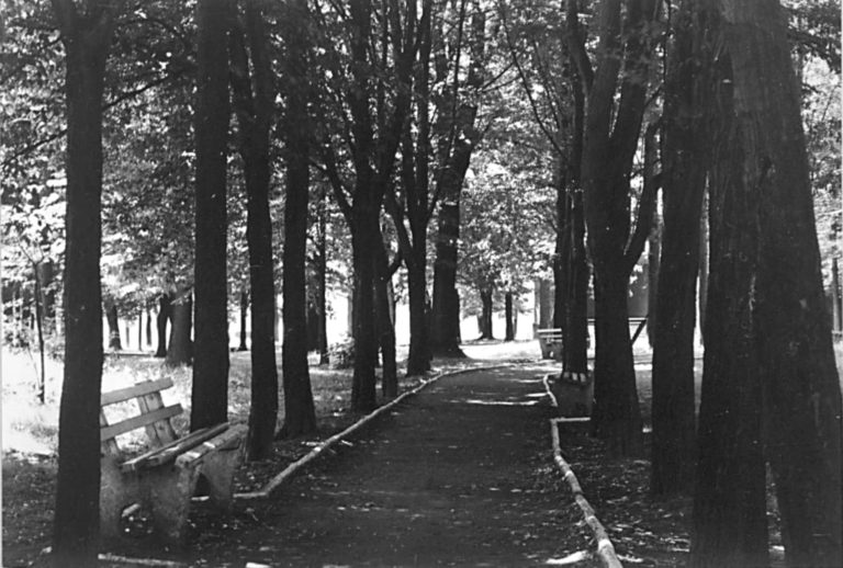 Pozostając wirtualnie w lipcu 1984-go roku wracamy ze spaceru znad stawów by schować się w cieniu drzew parku miejskiego.