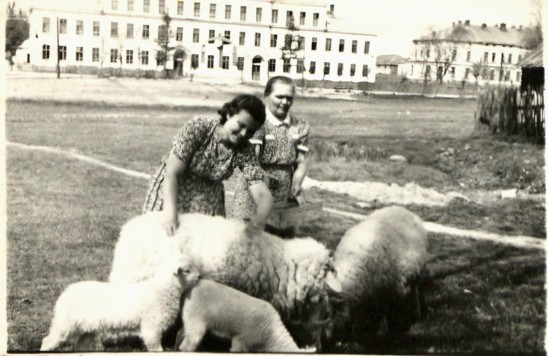 Pani Agnieszka Piechowska z córką Ireną doglądają pasących się owiec.