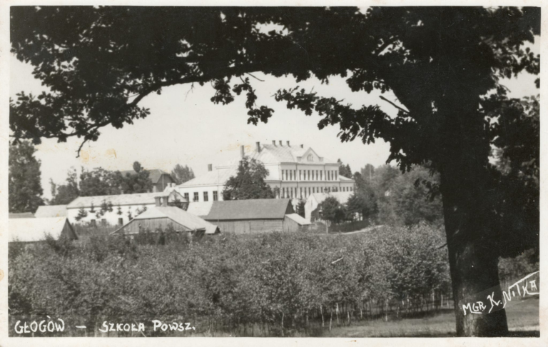 Widok na szkołę podstawową w Głogowie od zachodu. Na pierwszym planie domy pomiędzy ulicą Fabryczną a „Zielonym Stawem”.