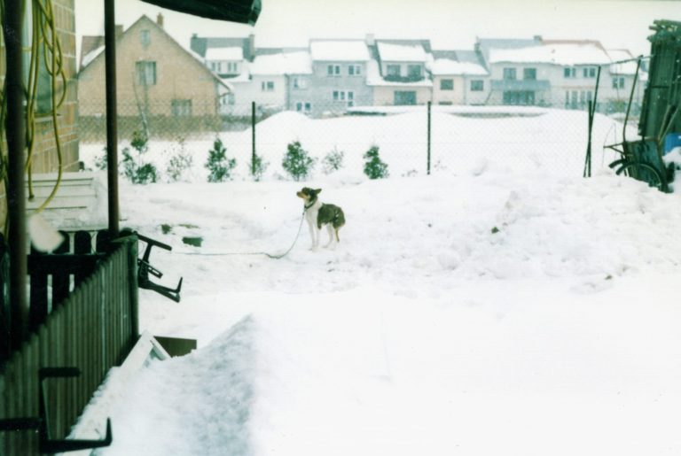 Osiedle „Niwa” zimą.